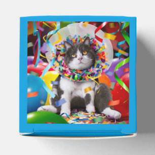 Katze im Party Cone Geschenkschachtel