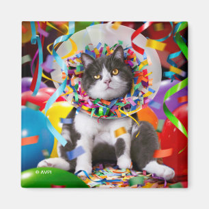 Katze im Party Cone Magnet