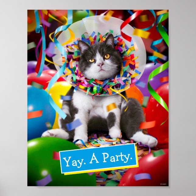 Katze im Party Cone Poster (Vorne)