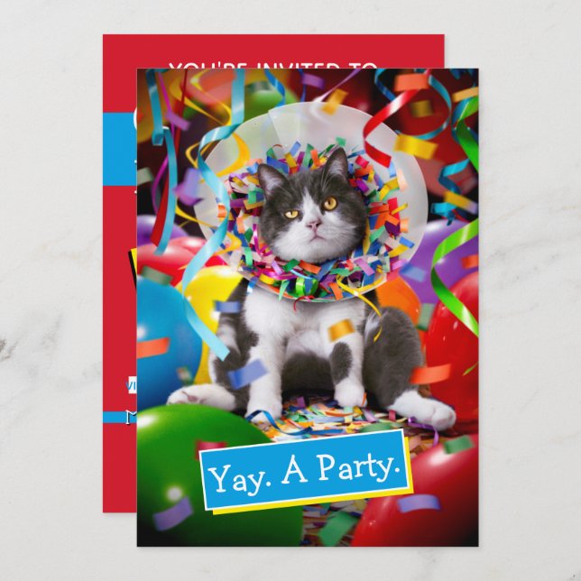 Katze im Party Einladung (Vorne/Hinten)