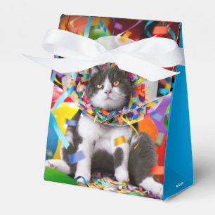 Katze im Party Geschenkschachtel