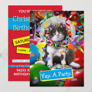 Katze im Partykegel Einladung