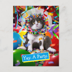 Katze im Partykegel Einladungspostkarte