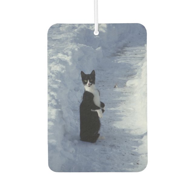 Katze im Schnee Autolufterfrischer (Vorderseite)