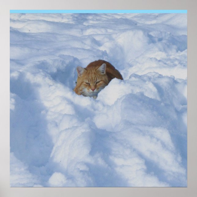Katze im Schnee Poster (Vorne)