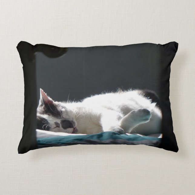 Katze im Sonnenfleck stört nicht Dekokissen (Vorderseite)