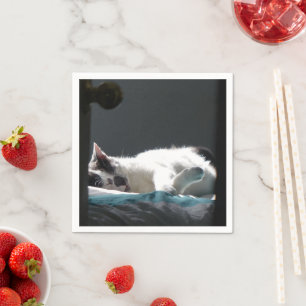 Katze im Sonnenfleck stört nicht Serviette