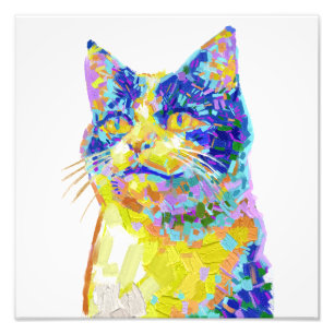 Katze im Sonnenlicht Fotodruck