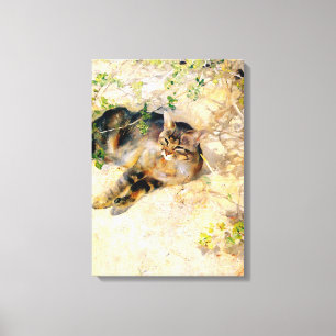 Katze im Sonnenschein, Bruno Liljefors Leinwanddruck