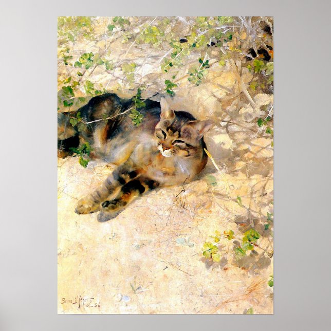 Katze im Sonnenschein, Bruno Liljefors Poster (Vorne)