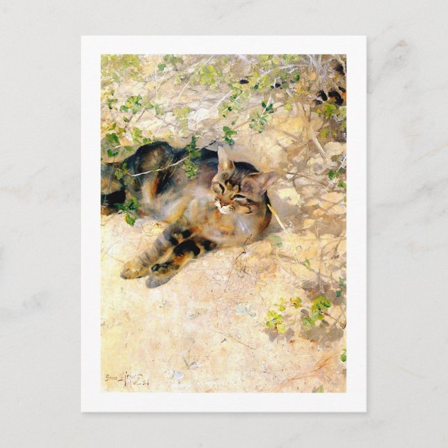 Katze im Sonnenschein, Bruno Liljefors Postkarte (Vorderseite)