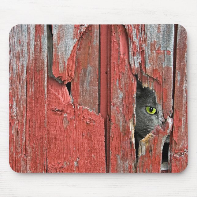 Katze im Stallholzloch Mousepad (Vorne)