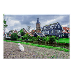 Katze im traditionellen Fischerdorf Poster