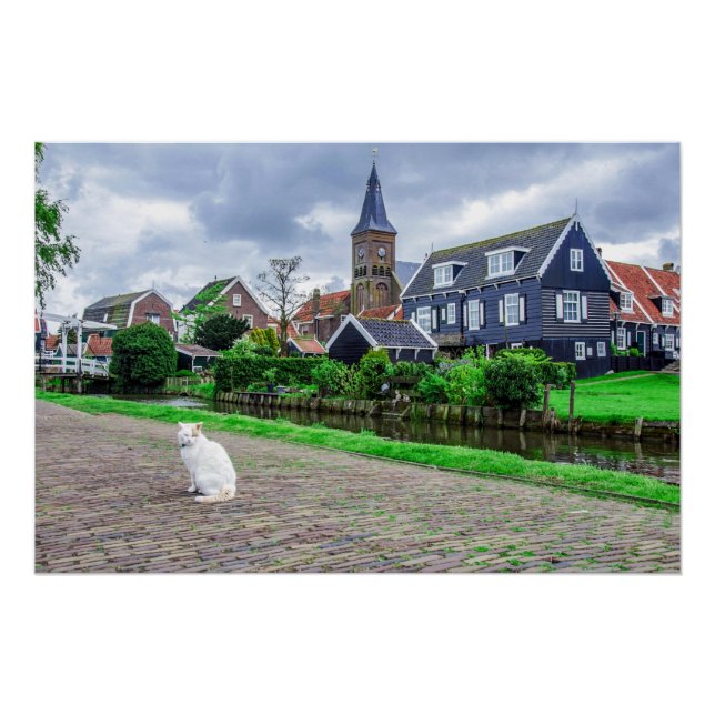 Katze im traditionellen Fischerdorf Poster (Vorderseite)