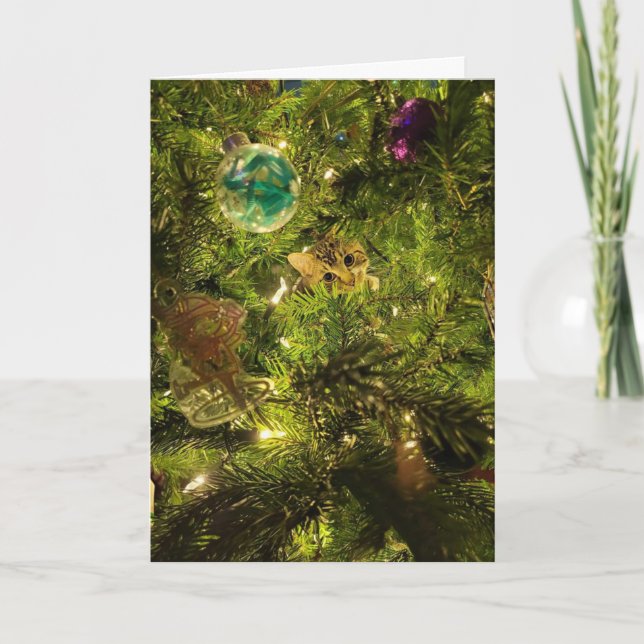 Katze im Weihnachtsbaum Weihnachtskarte Feiertagskarte (Vorderseite)