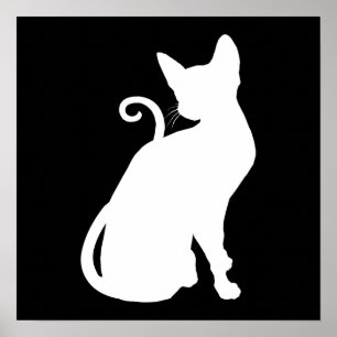 Katze im Weißen Haus Poster