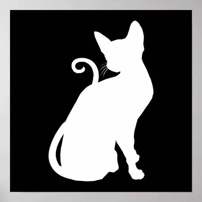 Katze im Weißen Haus Poster (Vorne)