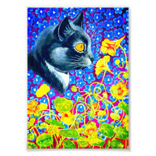 Katze in Blume Fotodruck