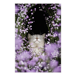 Katze in Blume Poster