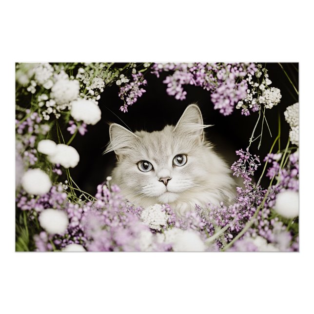 Katze in Blume Poster (Vorderseite)