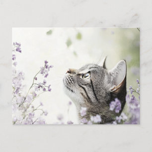 Katze in Blume Postkarte