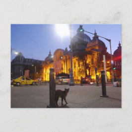 Katze in Bukarest, Rumänien Postkarte