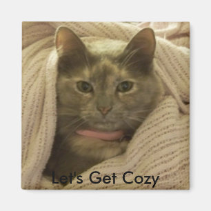 Katze in den Decken, gelassen uns erhalten Cozy Magnet