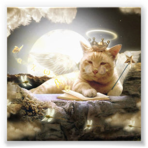 Katze in den Himmel Foto-Drucken Fotodruck