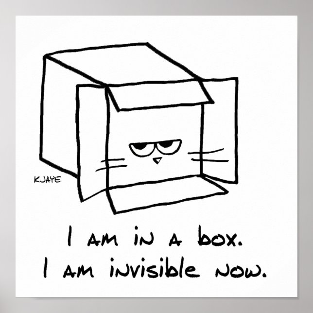 Katze in der Box - Funny Cat Poster (Vorne)