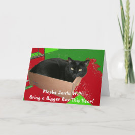 Katze in der Kasten-Weihnachtskarte Feiertagskarte