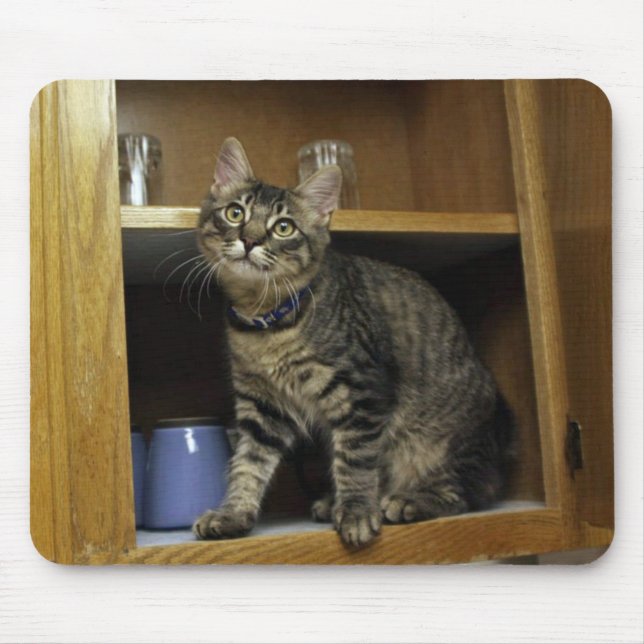 Katze in der Mousepad-Schublade Mousepad (Vorne)