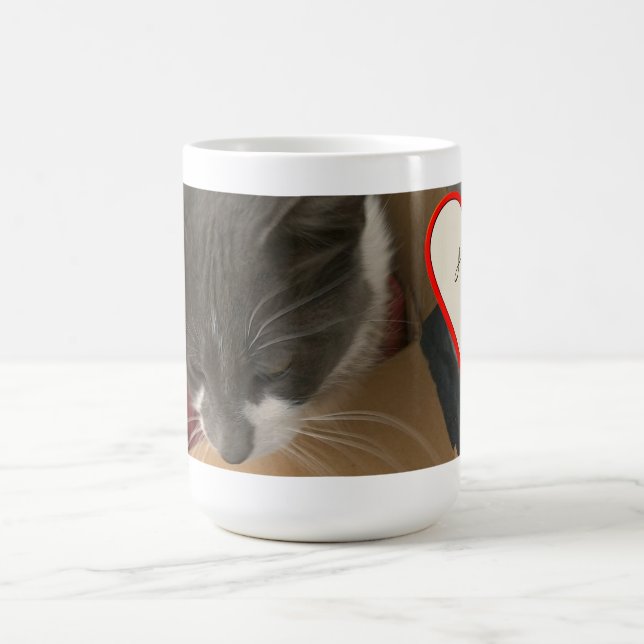 Katze in der Schachtel Kaffeetasse (Mittel)
