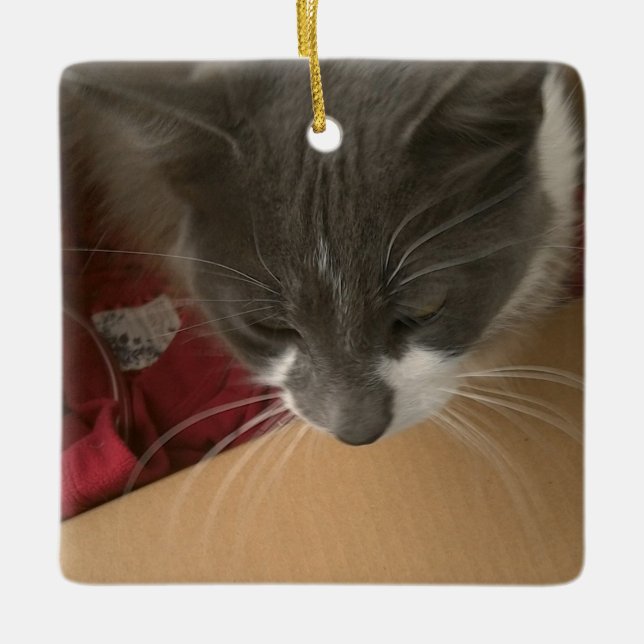 Katze in der Schachtel Keramikornament (Vorderseite)