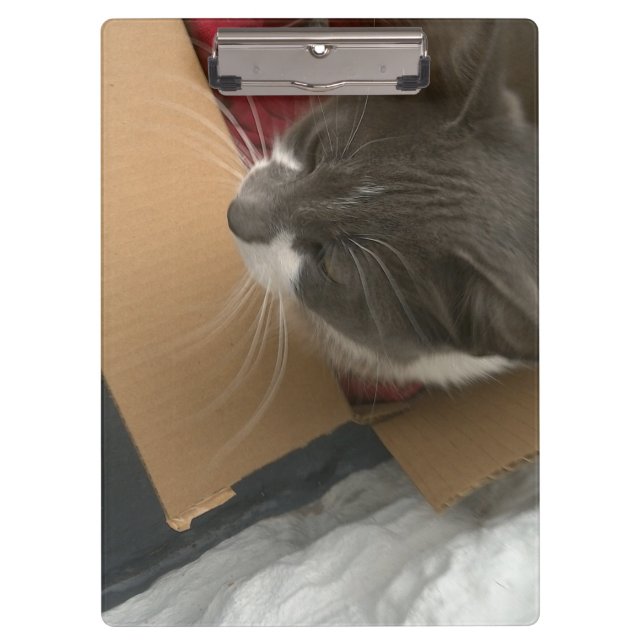 Katze in der Schachtel Klemmbrett (Vorderseite)
