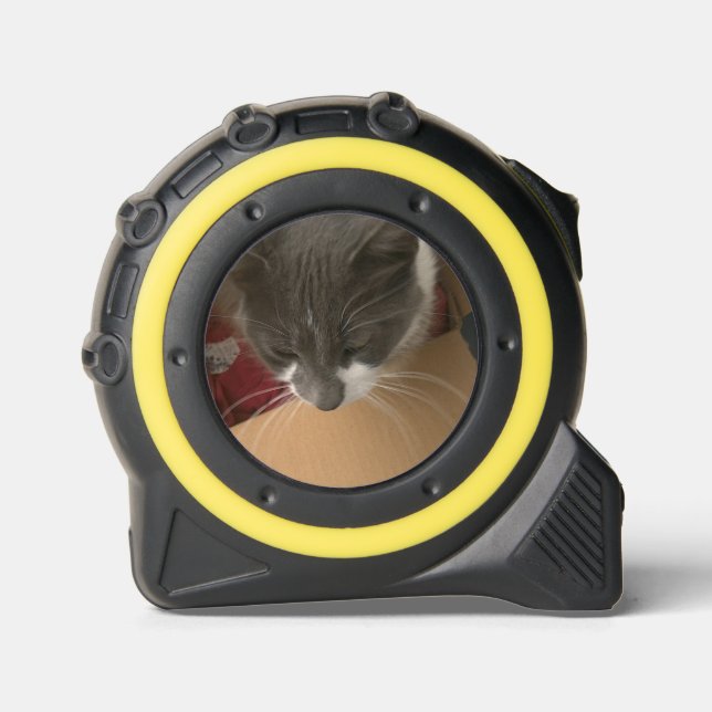 Katze in der Schachtel Maßband (Vorderseite)