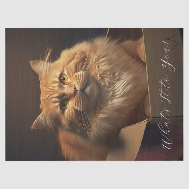 Katze in der Schuhschachtel - sarkastische Katze Seidenpapier (Vorderseite)