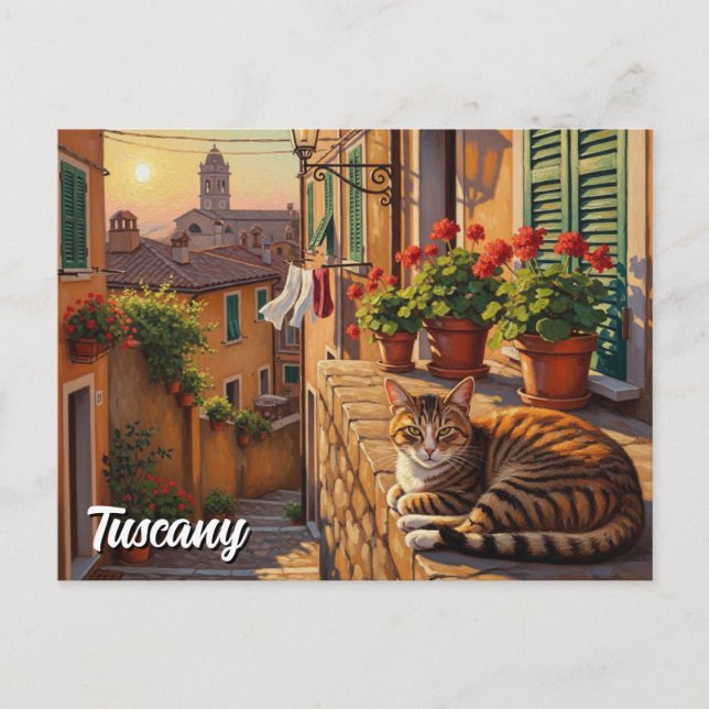 Katze in der Toskana Italien Postkarte (Vorderseite)