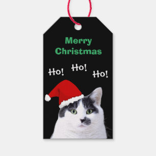 Katze in der Weihnachtsmannmütze Geschenkanhänger