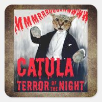 Katze in Dracula-Kostüm