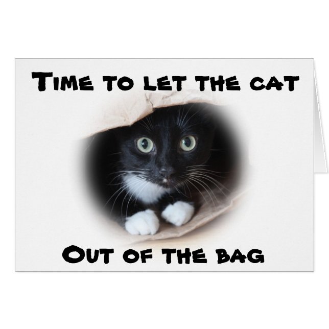 Katze in einem Beutel (Vorderseite (Horizontal))