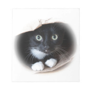 Katze in einem Beutel Notizblock