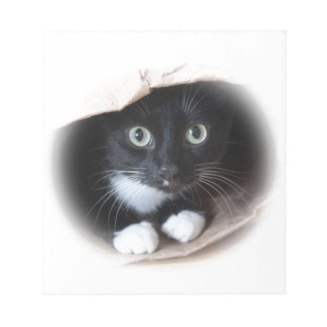 Katze in einem Beutel Notizblock (Vorderseite)