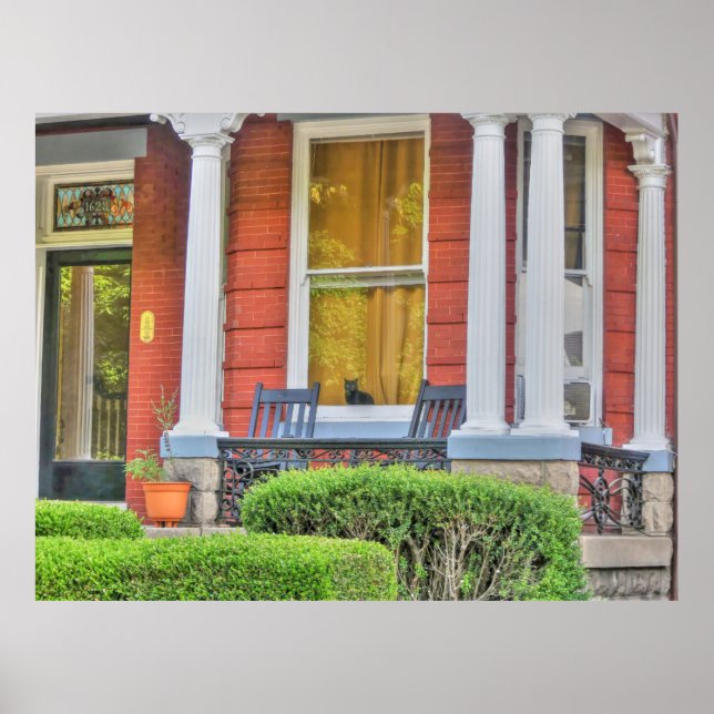 Katze in einem Fenster Poster (Vorne)