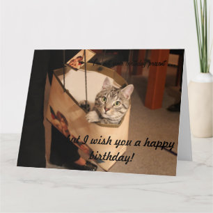 Katze in einem Geschenkbeutel: Big Birthday Card Karte