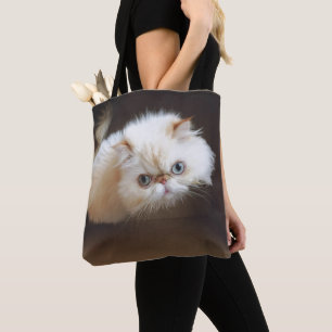 Katze in einem Kasten