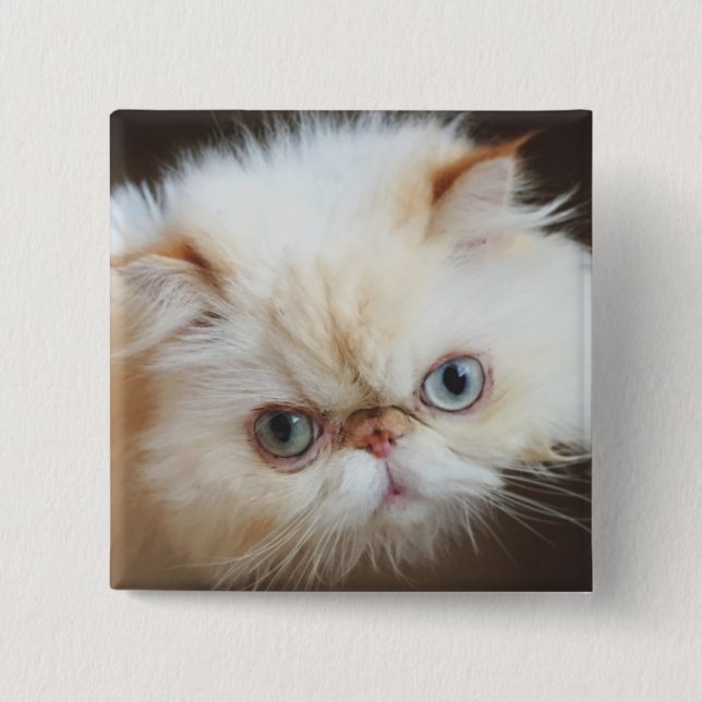 Katze in einem Kasten Button (Vorderseite)