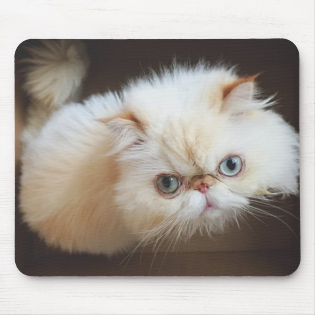 Katze in einem Kasten Mousepad (Vorne)