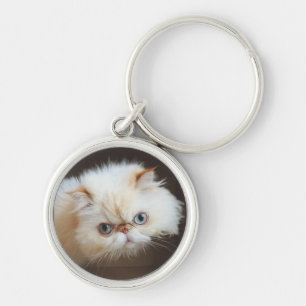 Katze in einem Kasten Schlüsselanhänger