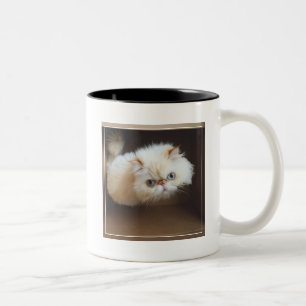 Katze in einem Kasten Zweifarbige Tasse