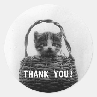 Katze in einem Korb Vintage-Foto - Danke Runder Aufkleber